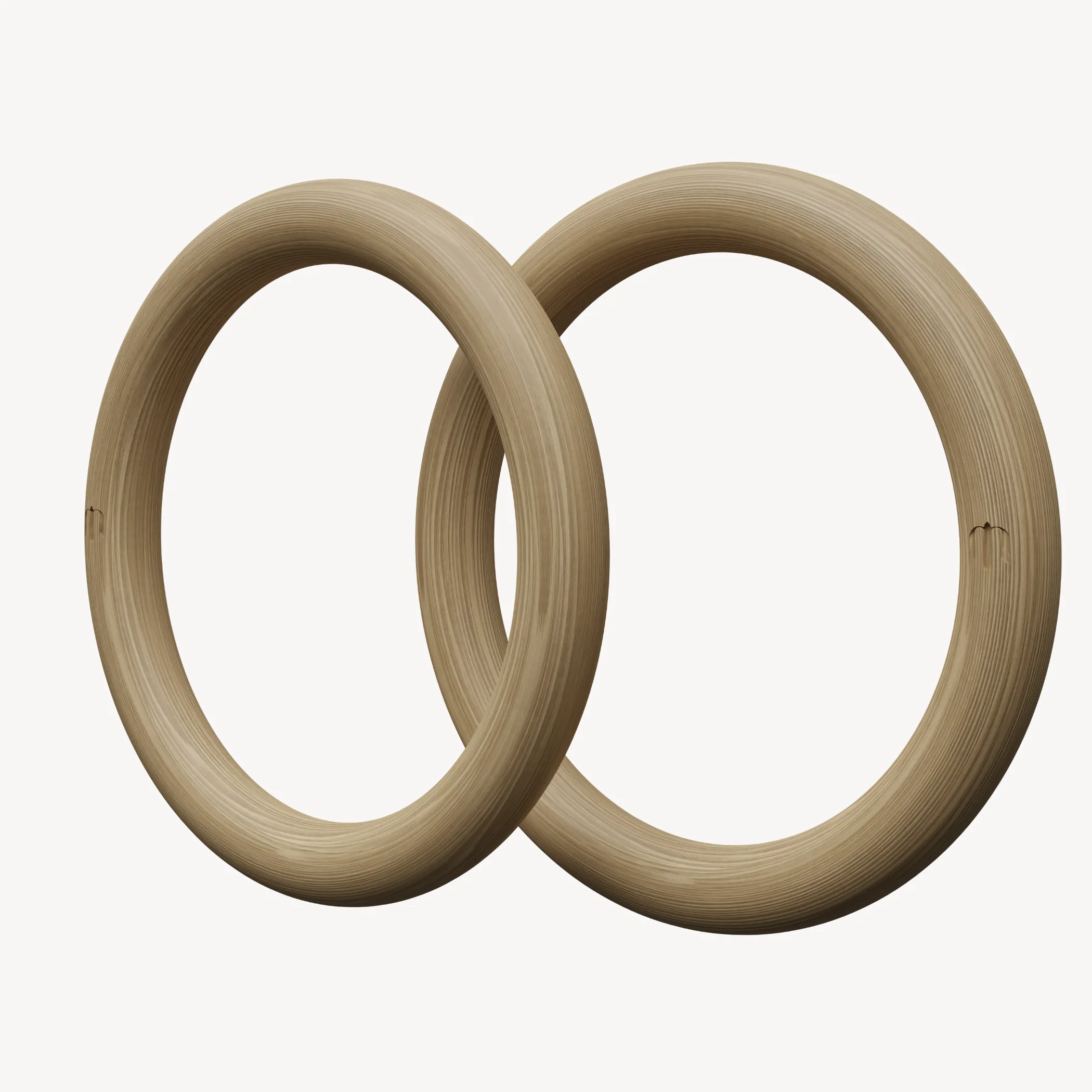 Exercise Rings