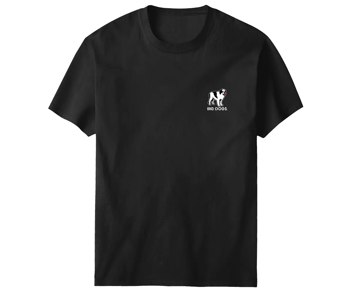 If At First You Do Not Succeed T-Shirt