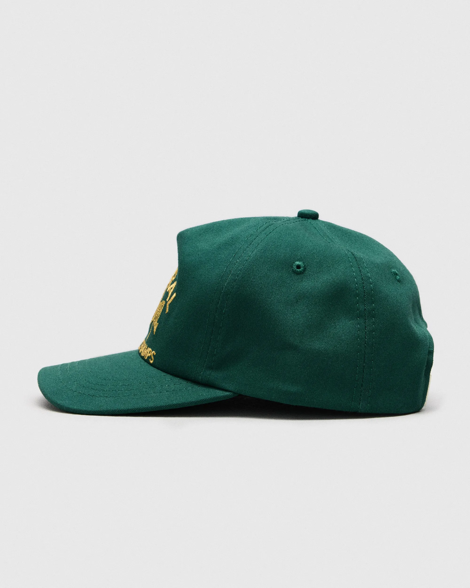 Skyline 5-Panel Hat - Forest / Gold